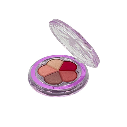 Febble Blush Stick - 04 5g