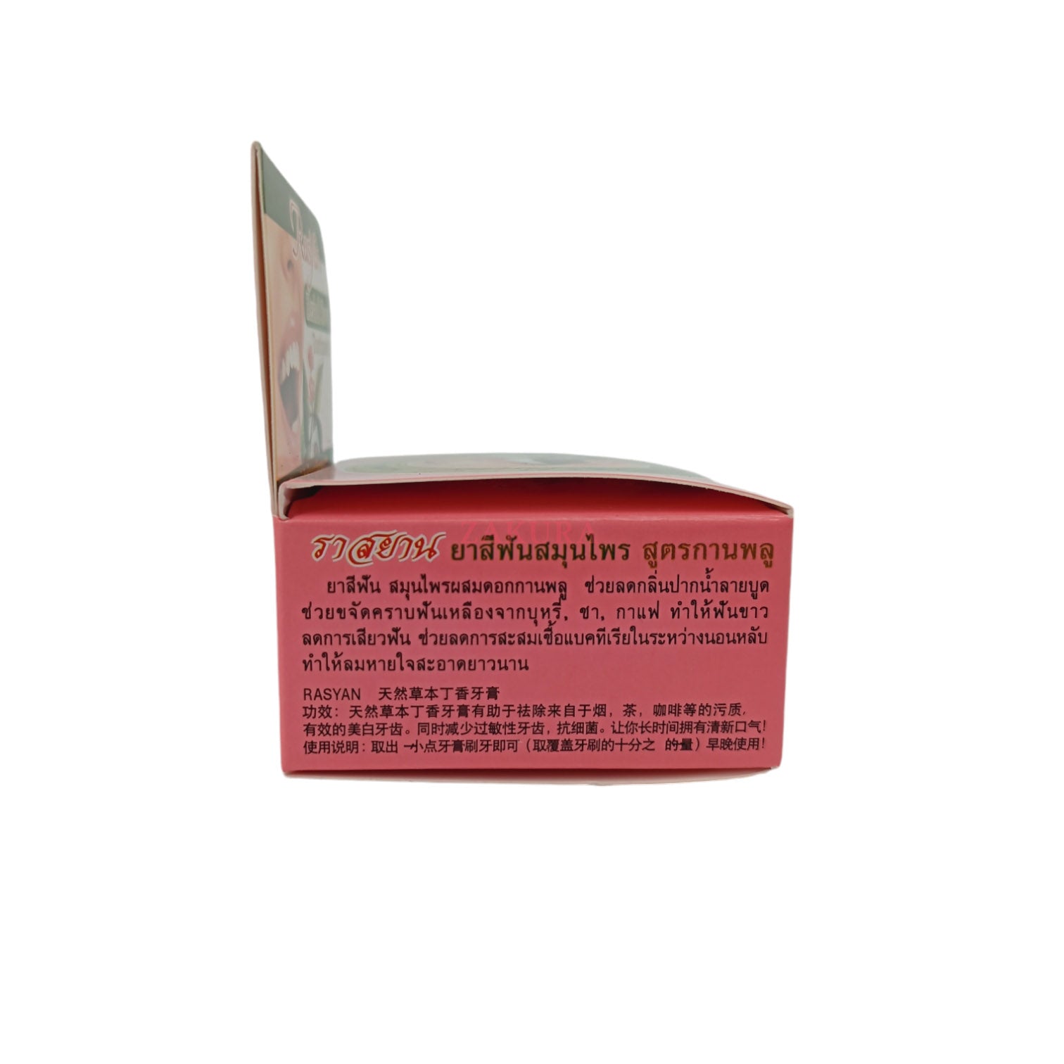 Rasyan Herbal Clove Toothpaste 25g